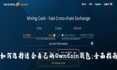 如何选择适合自己的OwnCoin钱包：全面指南