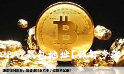 如何查看KDPAY钱包地址？详解步骤与注意事项