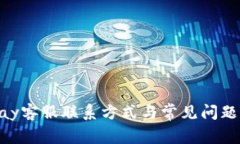 OKpay客服联系方式与常见问