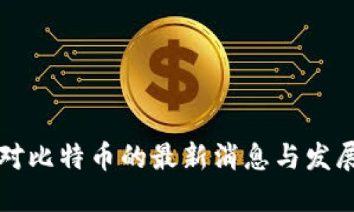中国对比特币的最新消息与发展趋势