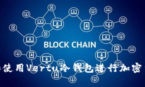 : 如何选择和使用Vertu冷钱包进行加密货币安全存储