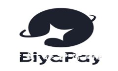 探秘比特币钱包下载：保护你的数字财富的第一