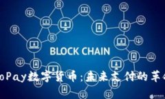 探索GoPay数字货币：未来支付的革命之路