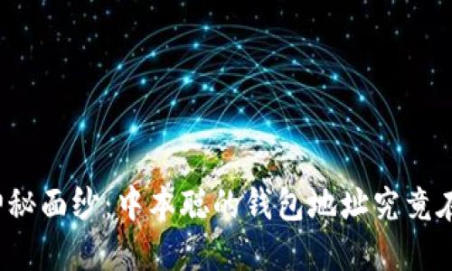 揭开神秘面纱：中本聪的钱包地址究竟在哪里？