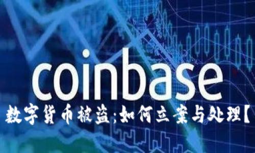 数字货币被盗：如何立案与处理？