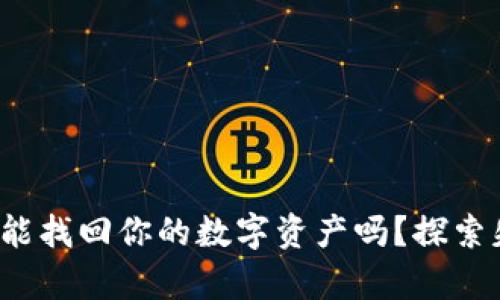 硬件冷钱包损坏还能找回你的数字资产吗？探索失而复得的可能性！