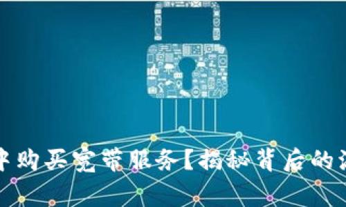 如何在冷钱包中购买宽带服务？揭秘背后的流程与注意事项