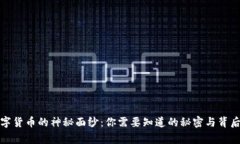 揭开数字货币的神秘面纱：你需要知道的秘密与