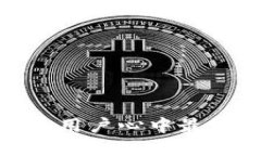 选择冷钱包：每个用户心中最好的品牌大揭秘！