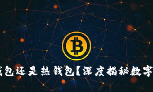 币信到底是冷钱包还是热钱包？深度揭秘数字资产安全的真相