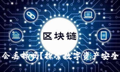 冷钱包会丢掉吗？探索数字资产安全的秘密