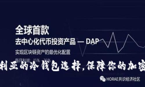 揭秘尼日利亚的冷钱包选择，保障你的加密资产安全