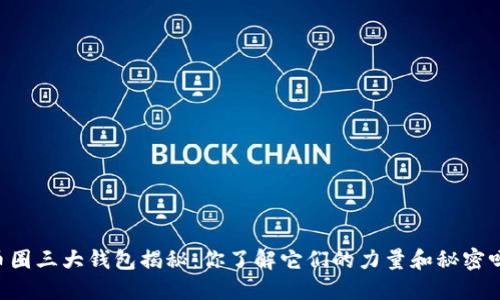 币圈三大钱包揭秘：你了解它们的力量和秘密吗？