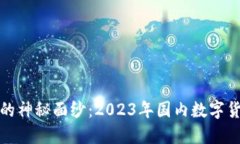 揭开数字资产的神秘面纱：2023年国内数字货币钱