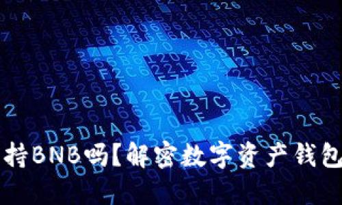 比特派钱包支持BNB吗？解密数字资产钱包的选择与使用