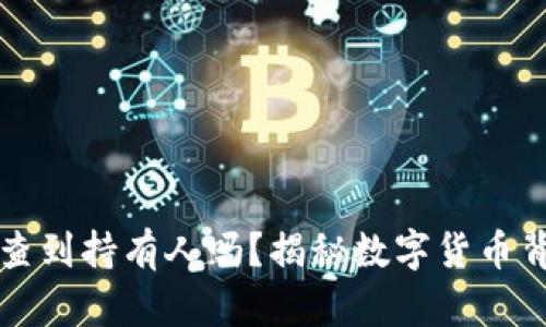 虚拟币账户能查到持有人吗？揭秘数字货币背后的隐秘面纱