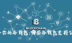 选择适合你的冷钱包：哪些冷钱包支持公链存储