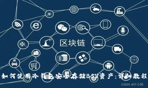 如何使用冷钱包安全存储BSV资产：详细教程
