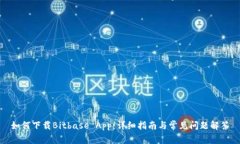 如何下载Bitbase App：详细指南与常见问题解答