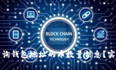 如何查询钱包地址的币数量信息？实用指南