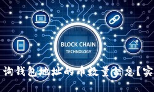如何查询钱包地址的币数量信息？实用指南