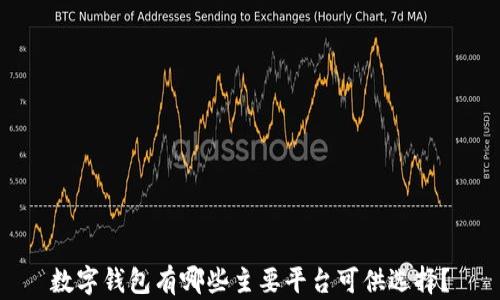 
数字钱包有哪些主要平台可供选择？
