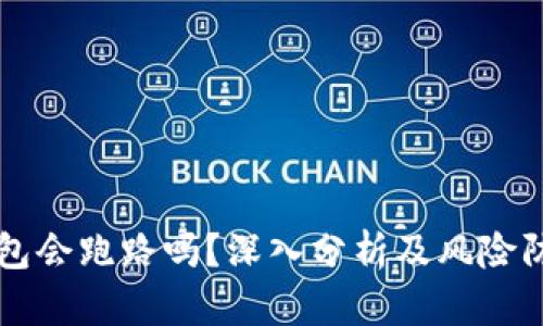 虚拟钱包会跑路吗？深入分析及风险防范指南