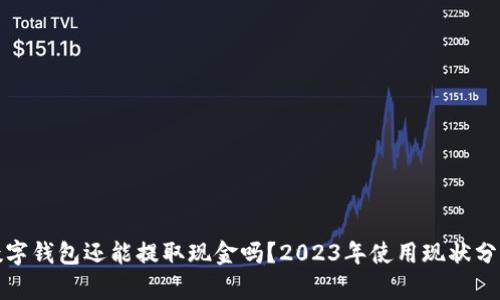 数字钱包还能提取现金吗？2023年使用现状分析