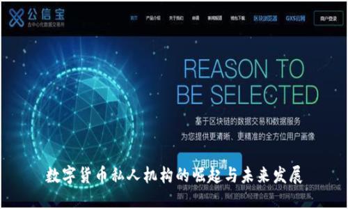 数字货币私人机构的崛起与未来发展