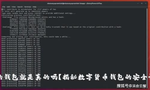 有助记词的钱包就是真的吗？揭秘数字货币钱包的安全性与可靠性