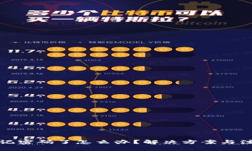 派币忘记密码了怎么办？解决方案与注意事项