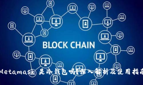 Metamask 是冷钱包吗？深入解析及使用指南
