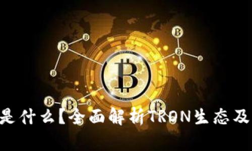 TRX币是什么？全面解析TRON生态及其潜力