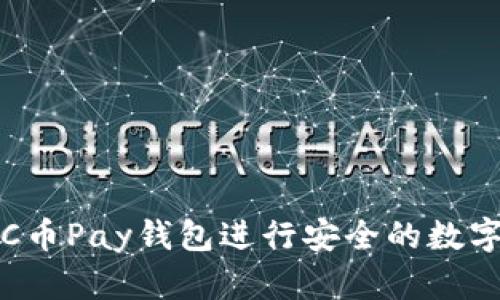 如何使用C币Pay钱包进行安全的数字资产管理