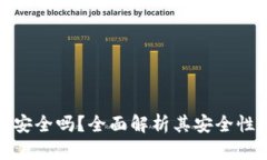GOPAY钱包安全吗？全面解析