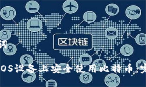 和关键词

如何在iOS设备上安全使用比特币：完整指南