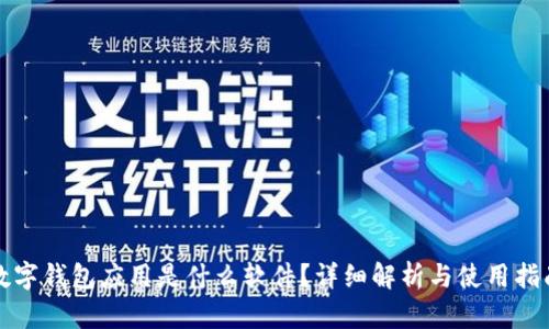 数字钱包应用是什么软件？详细解析与使用指南